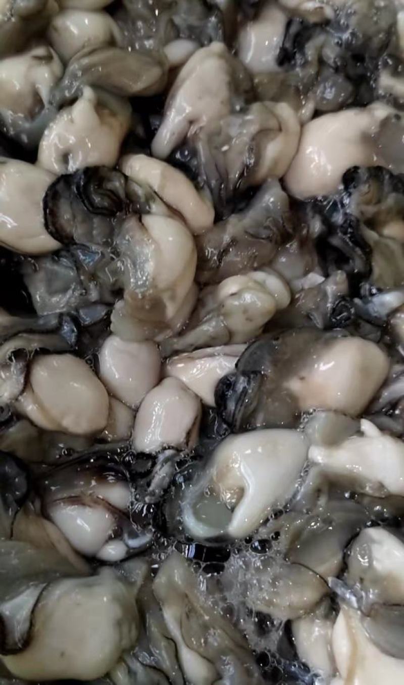 现剥生蚝肉海蛎特肥生蚝牡蛎肉批发海鲜海产品