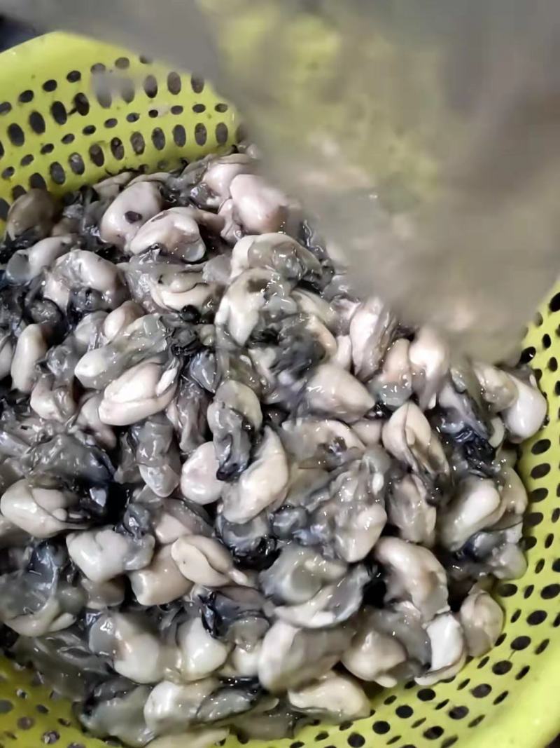 现剥生蚝肉海蛎特肥生蚝牡蛎肉批发海鲜海产品