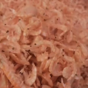 美味磷虾