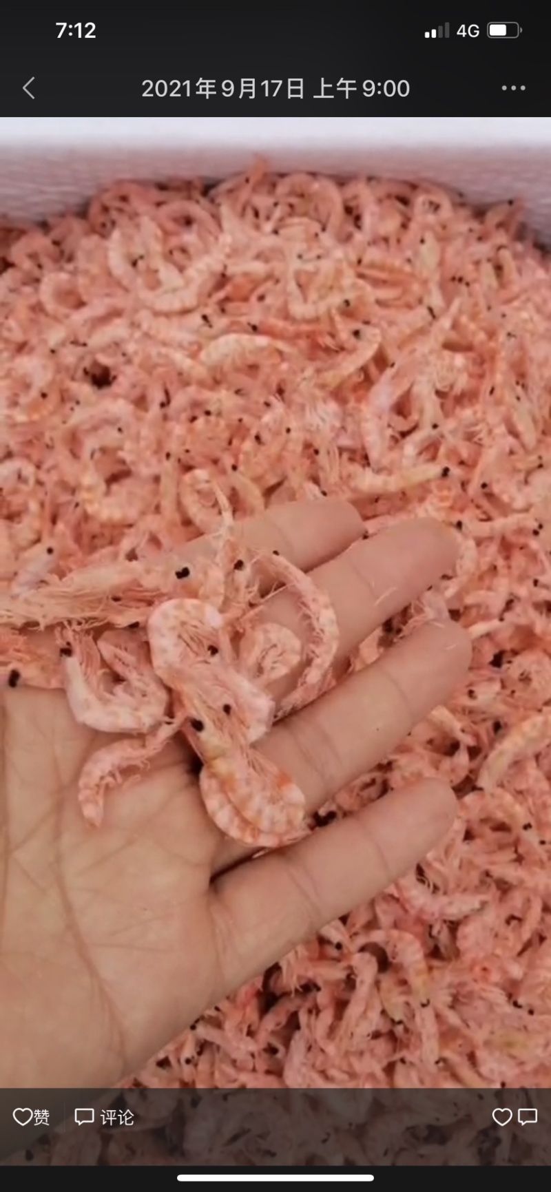 美味磷虾