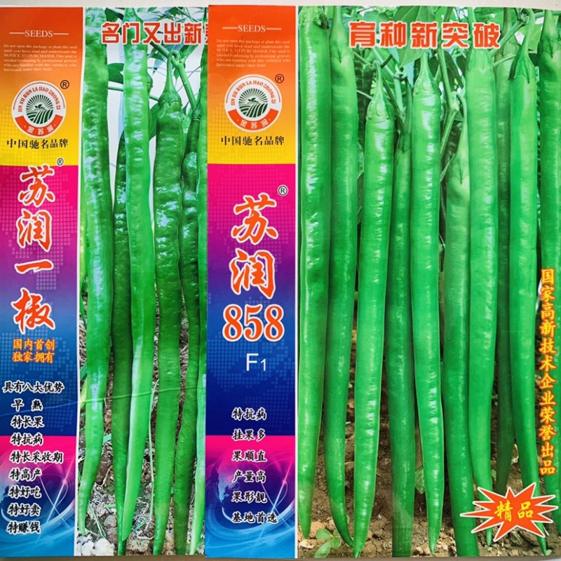正牌苏润858特长线椒种子条椒辣椒种籽特高产抗病线椒种子