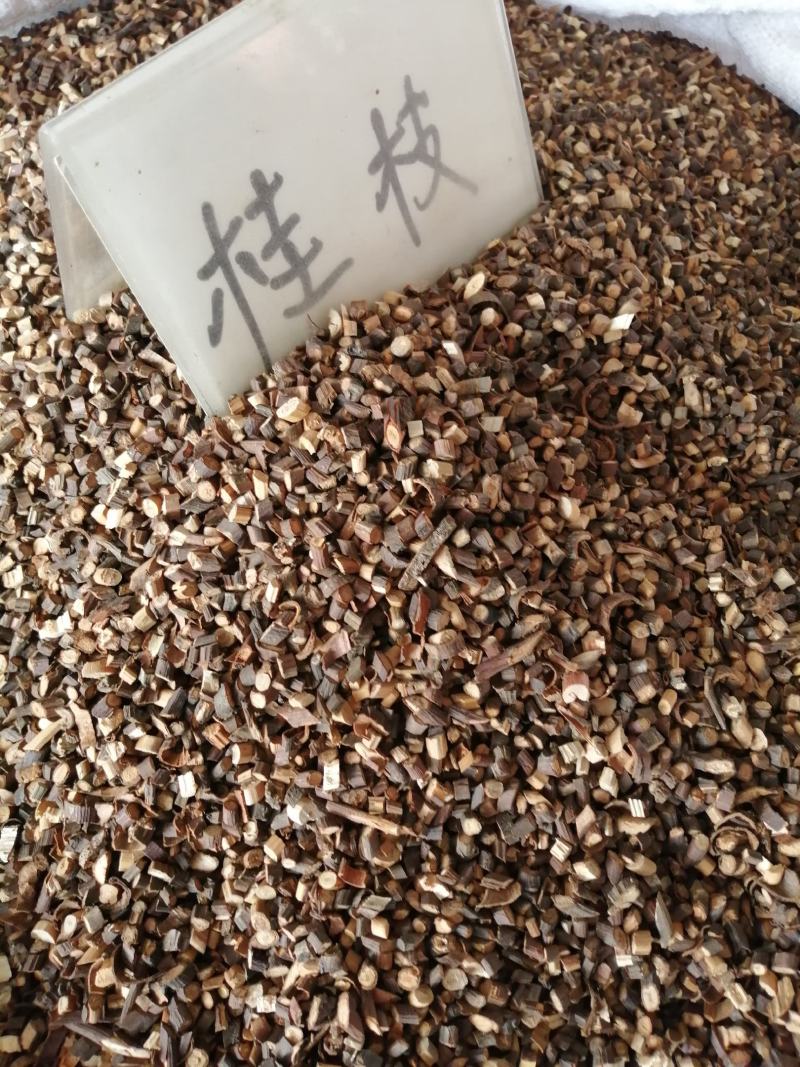 桂枝中药材桂枝无硫无添加精挑细选经营各种规格中药材