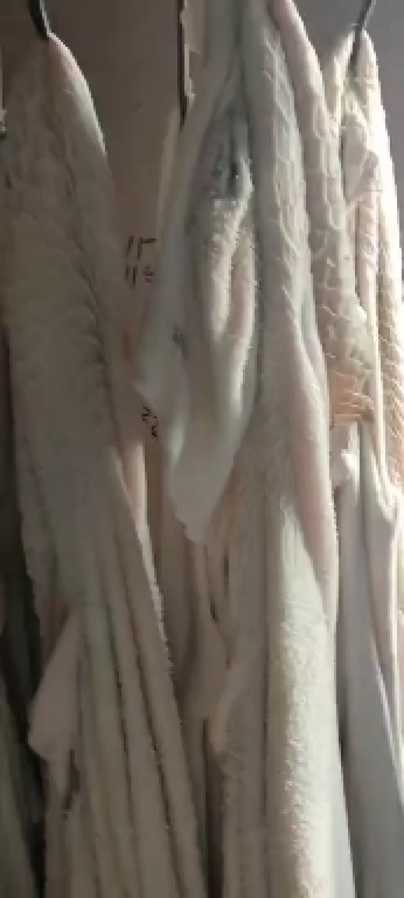 半成品牛肚干净去油出成高长期有货