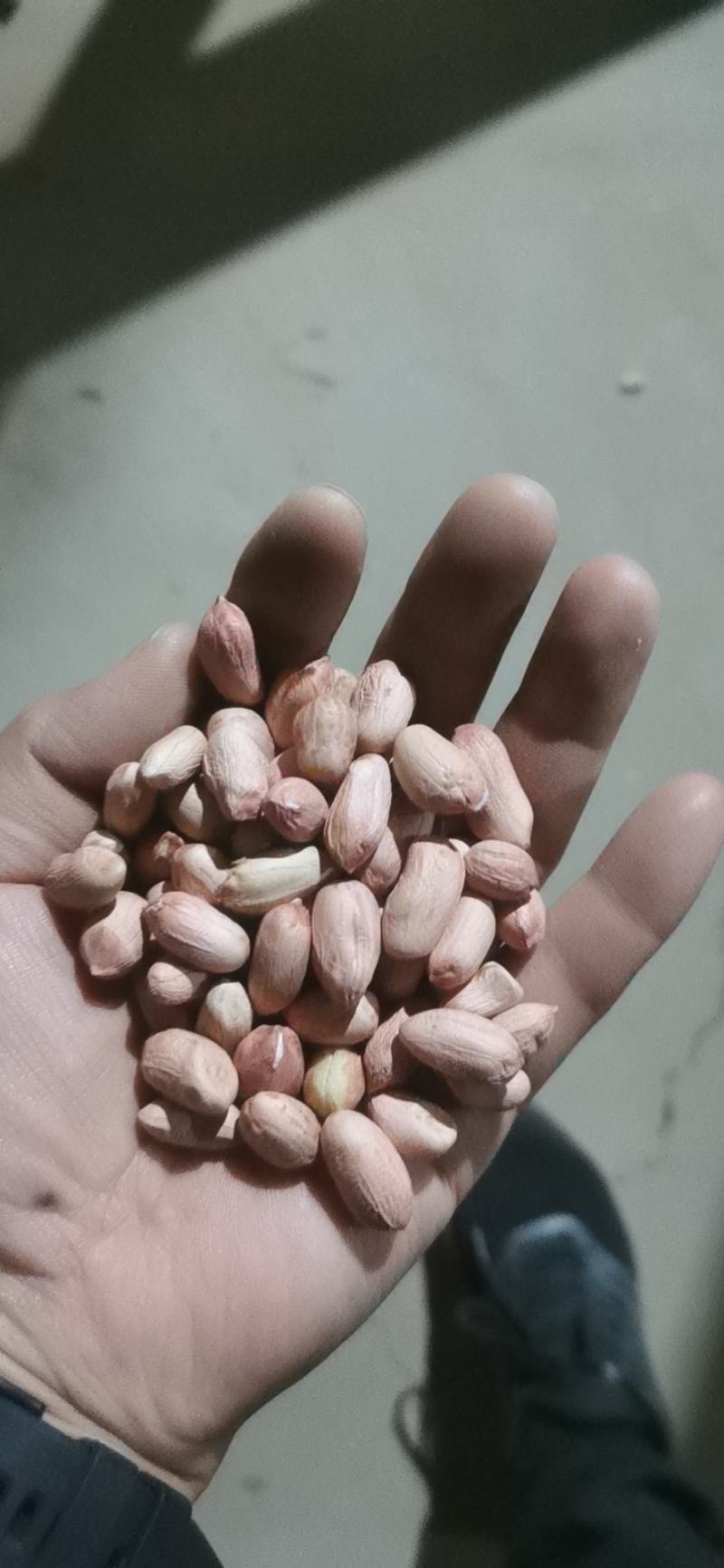 应季节花生米，产地直供！