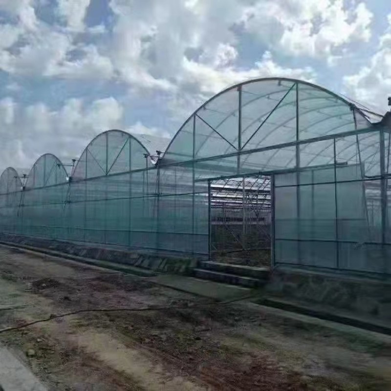 江苏优质养殖大棚椭圆钢管大棚镀锌钢管钢管骨架