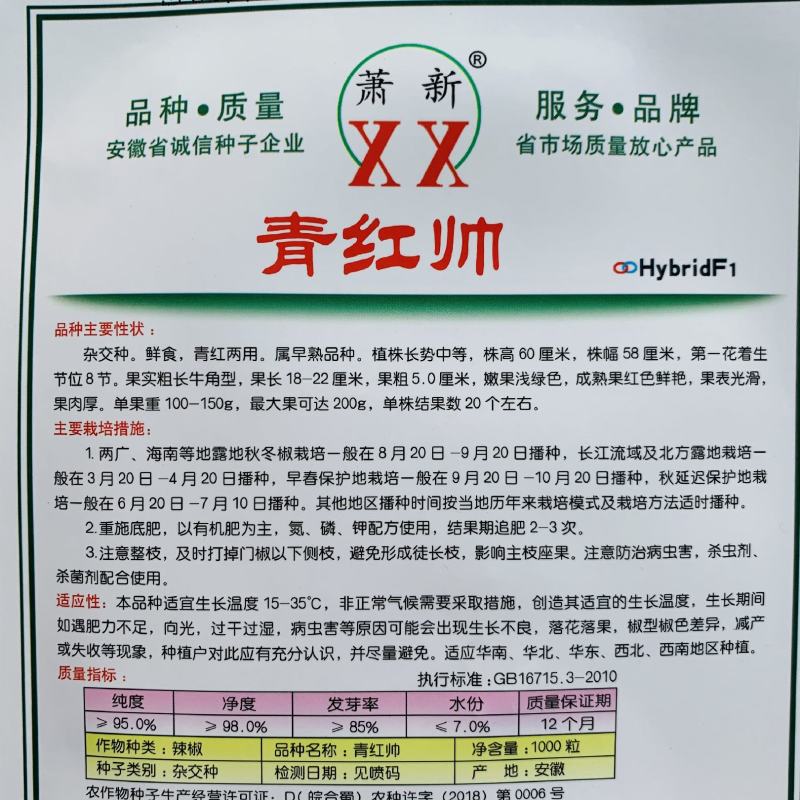 萧新青红帅辣椒种子鲜食红泡椒种子牛角形辣椒大果光椒