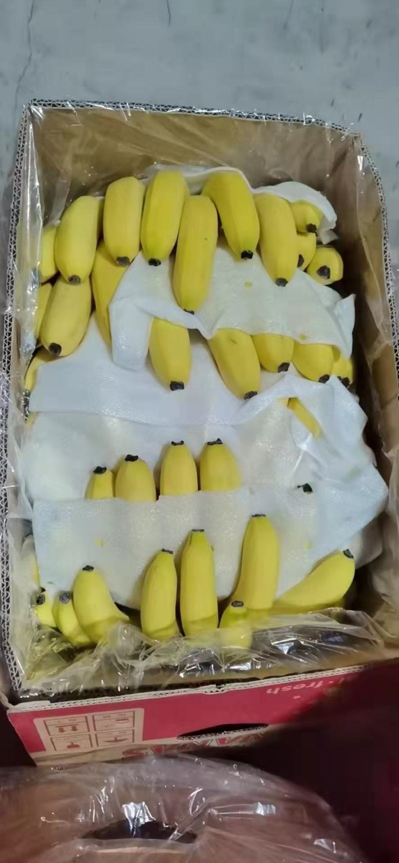 香蕉