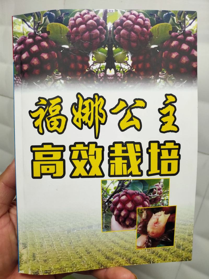 福娜公主甜蜜单细核品种与科学家联手签约收购