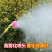 【厂家包邮】电动打药机多功能锂电池喷雾器双核泵充电式手提