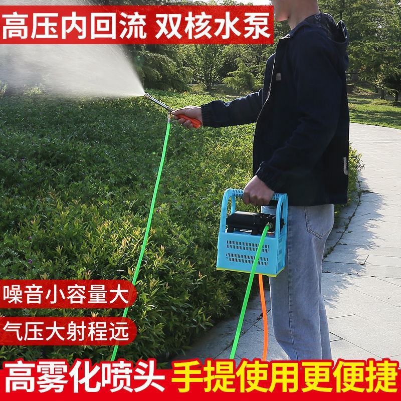 【厂家包邮】电动打药机多功能锂电池喷雾器双核泵充电式手提