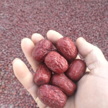 阿克苏红枣（灰枣）
