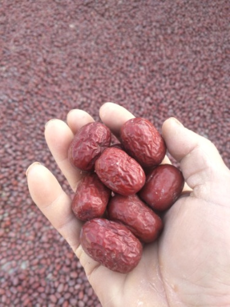 阿克苏红枣（灰枣）