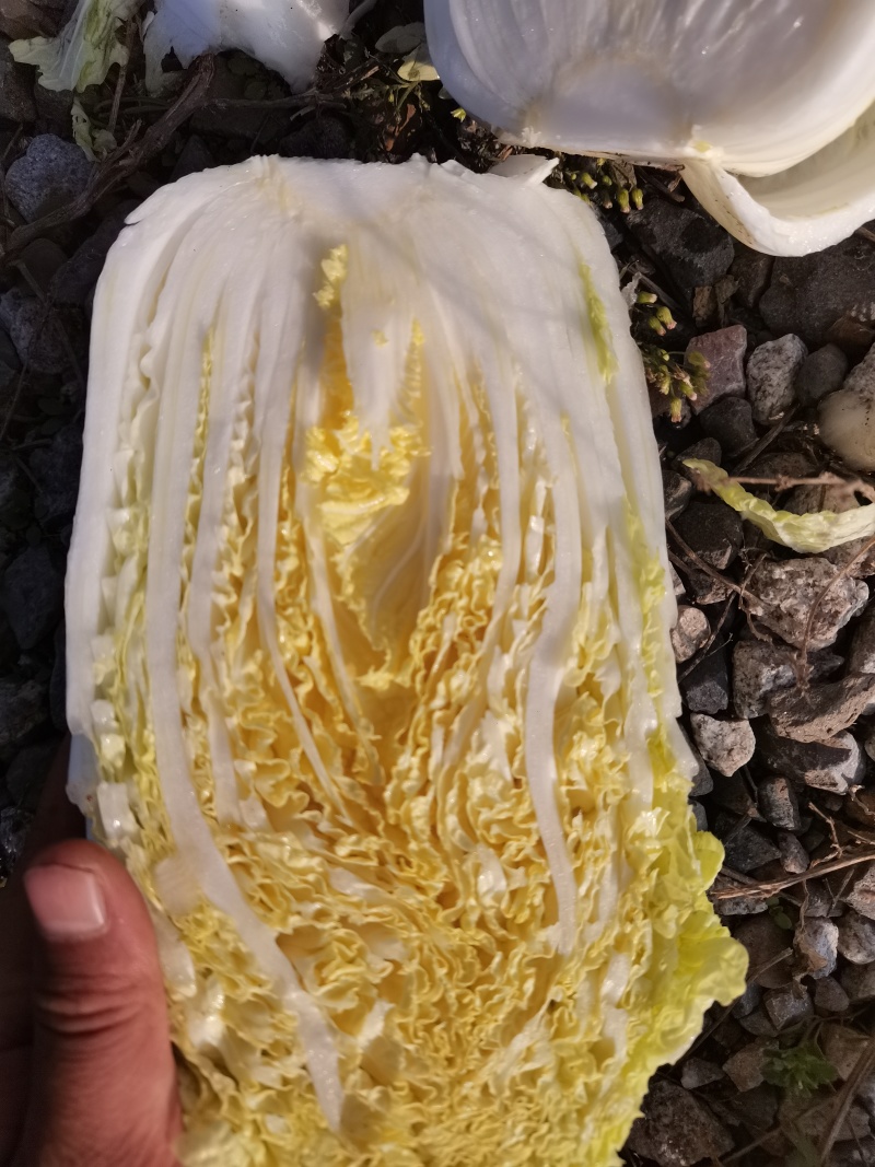 蔬菜