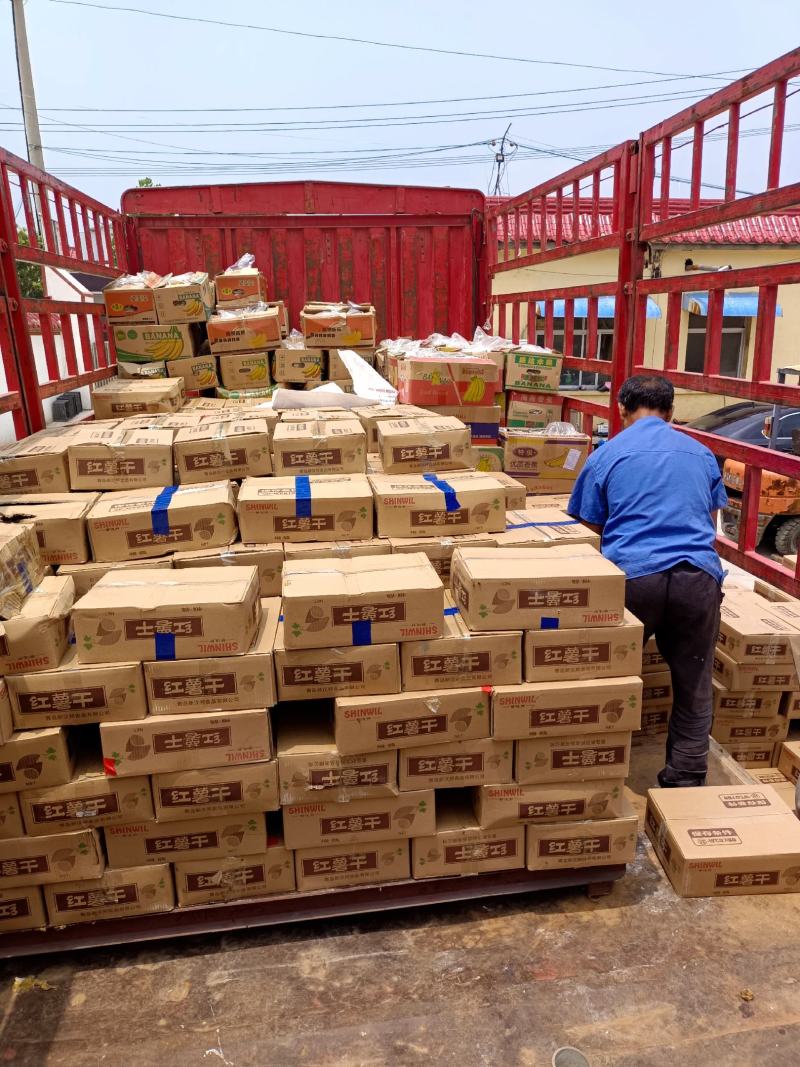 山东精品地瓜枣，有红心，黄心，条，量大从优，品质保证