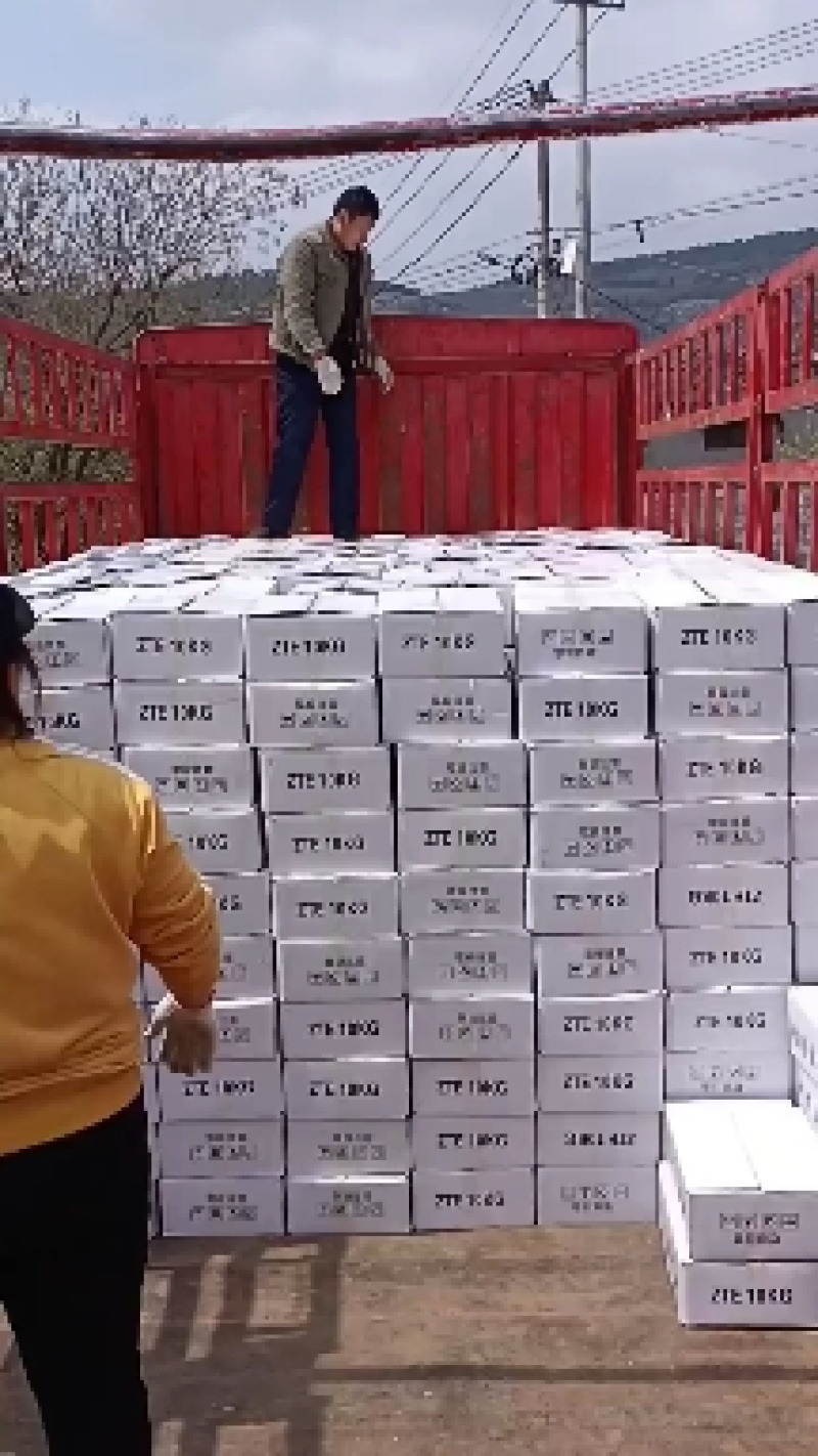精品地瓜干霜条霜片上面白霜都是自然而然形成原汁原味