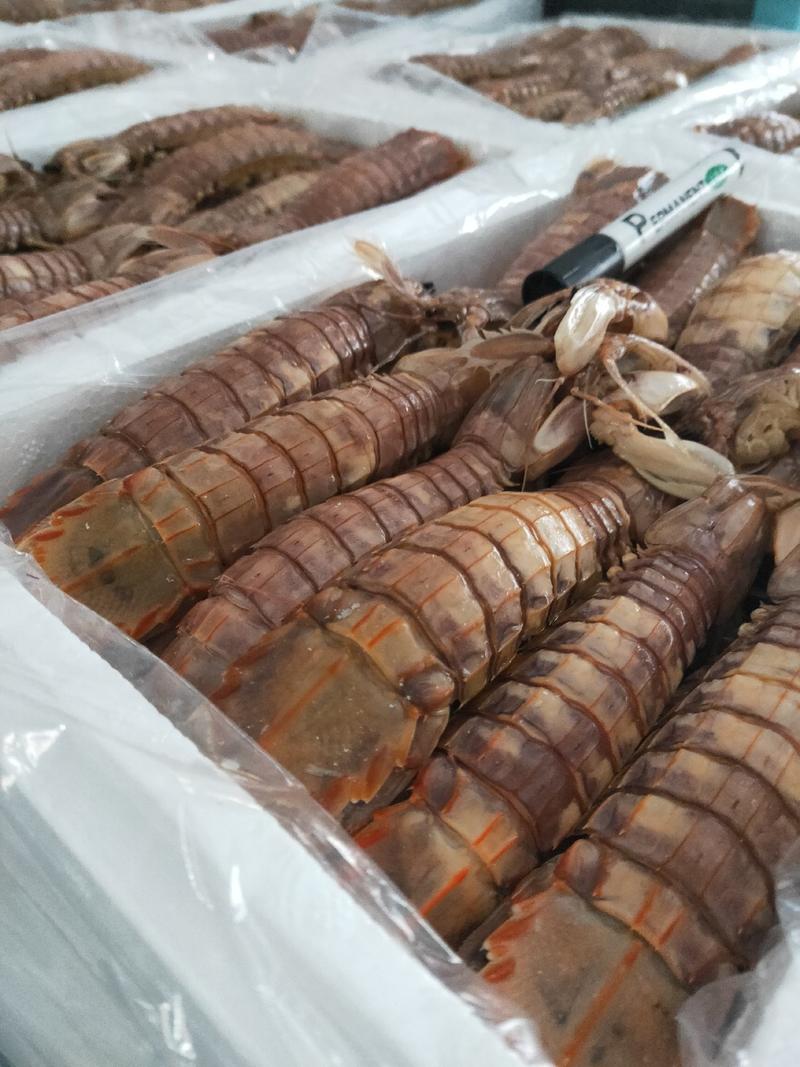 熟冻皮皮虾大量上市了，价格优惠，一手货源，量大从优