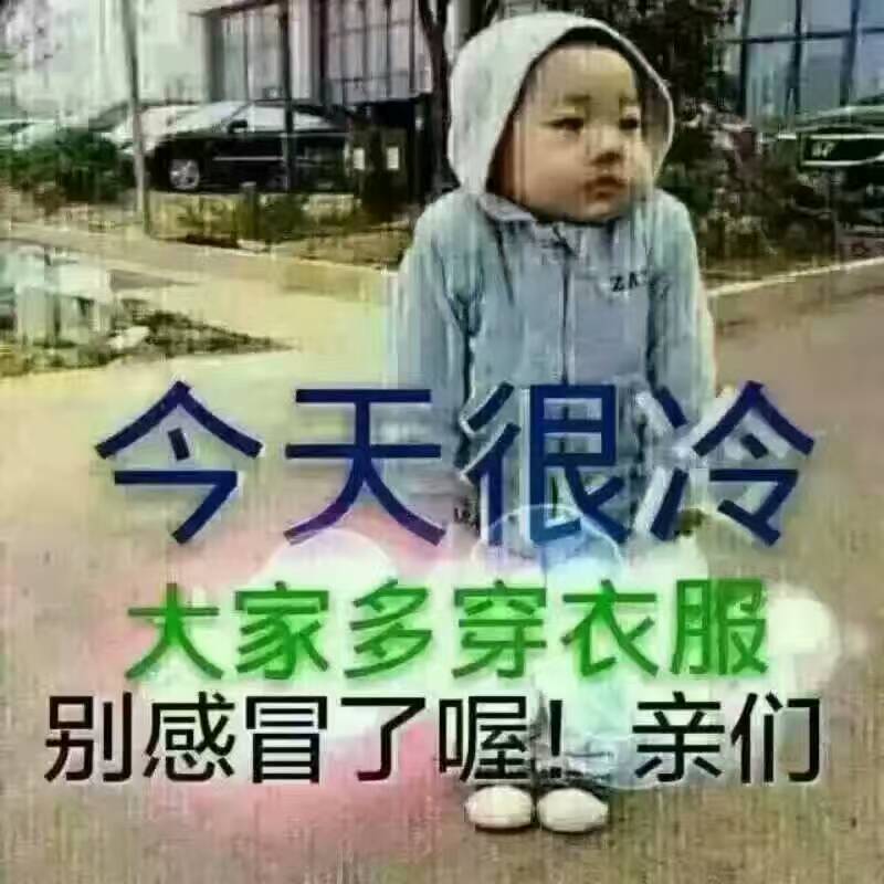 冷库蒜薹热销中40~50厘米。。。。。。。。。。。
