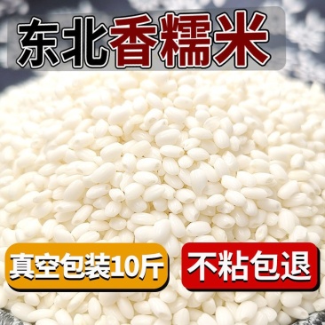 包邮）东北香糯新米包粽子糯大米东北圆粒糯粘大米酿酒糯米