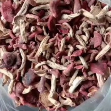 精选野生小红菇