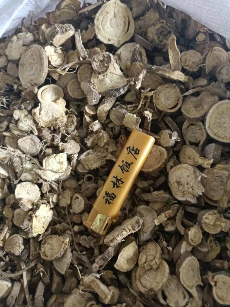 苦参大货