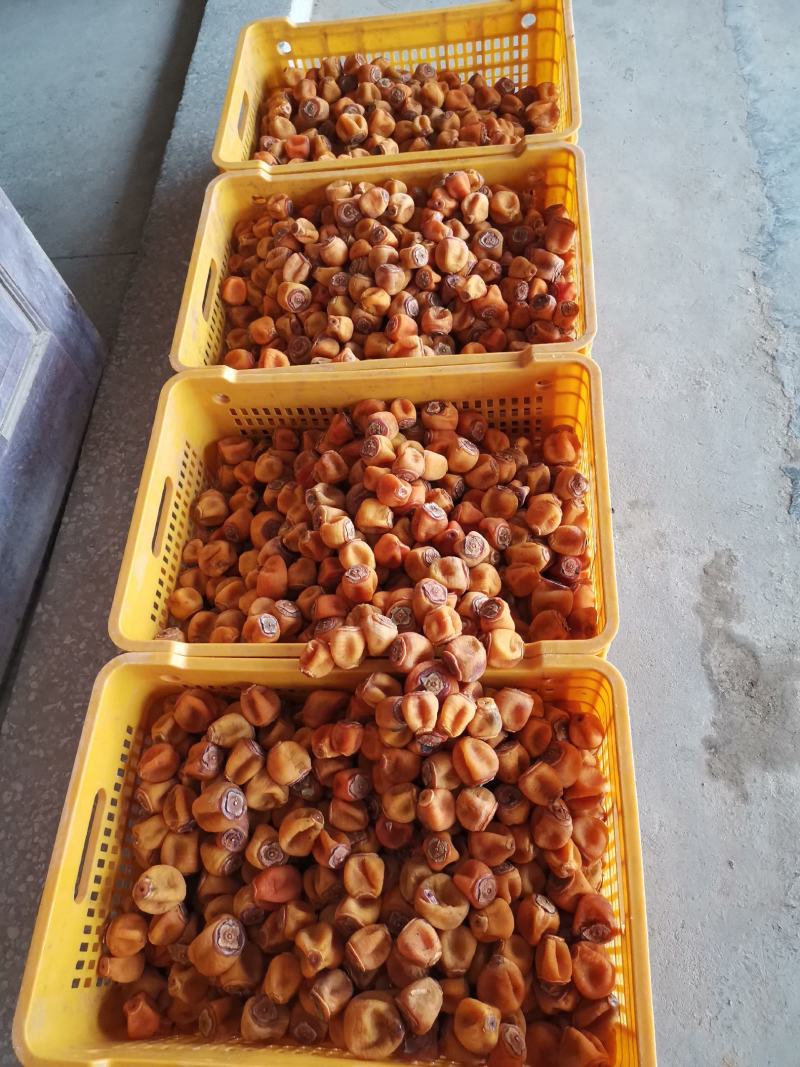 柿饼，桂林柿饼广西柿饼圆饼，吊饼，辣椒柿饼大量上市