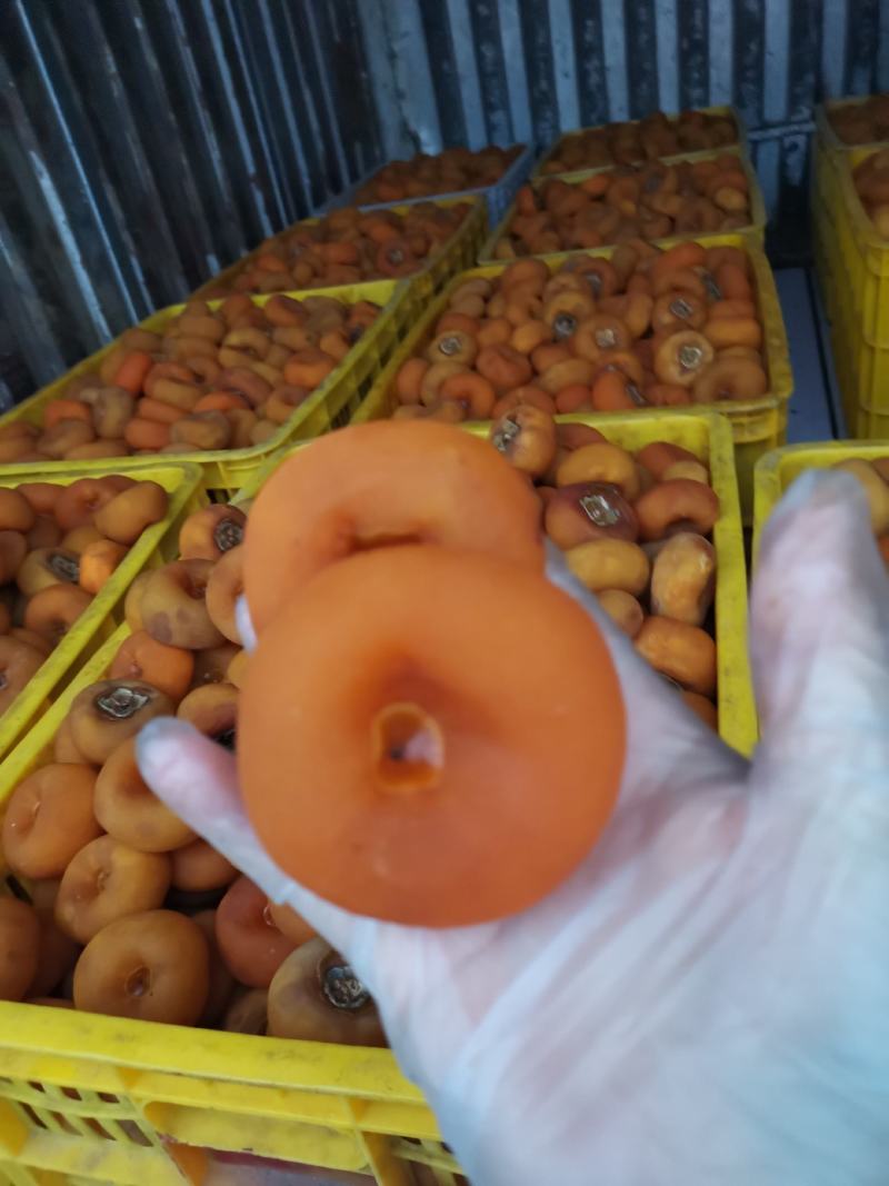 特级大饼，广西柿饼圆饼吊饼大量上市一级柿饼，原产地