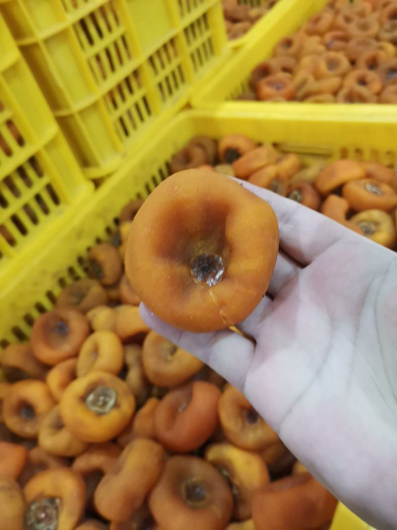 水晶柿饼，广西平乐柿饼恭城柿饼大量上市，中大饼源头加工厂