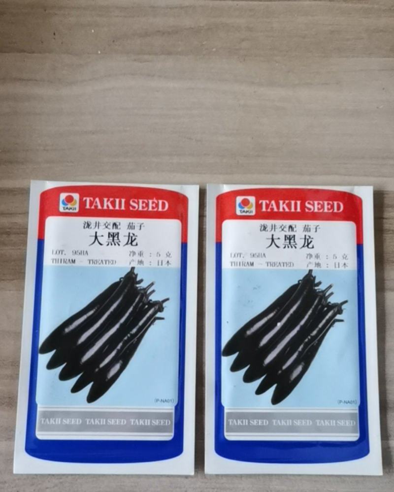 泷井交配茄子种子大黑龙茄子种子产地日本越冬早春保护地栽培
