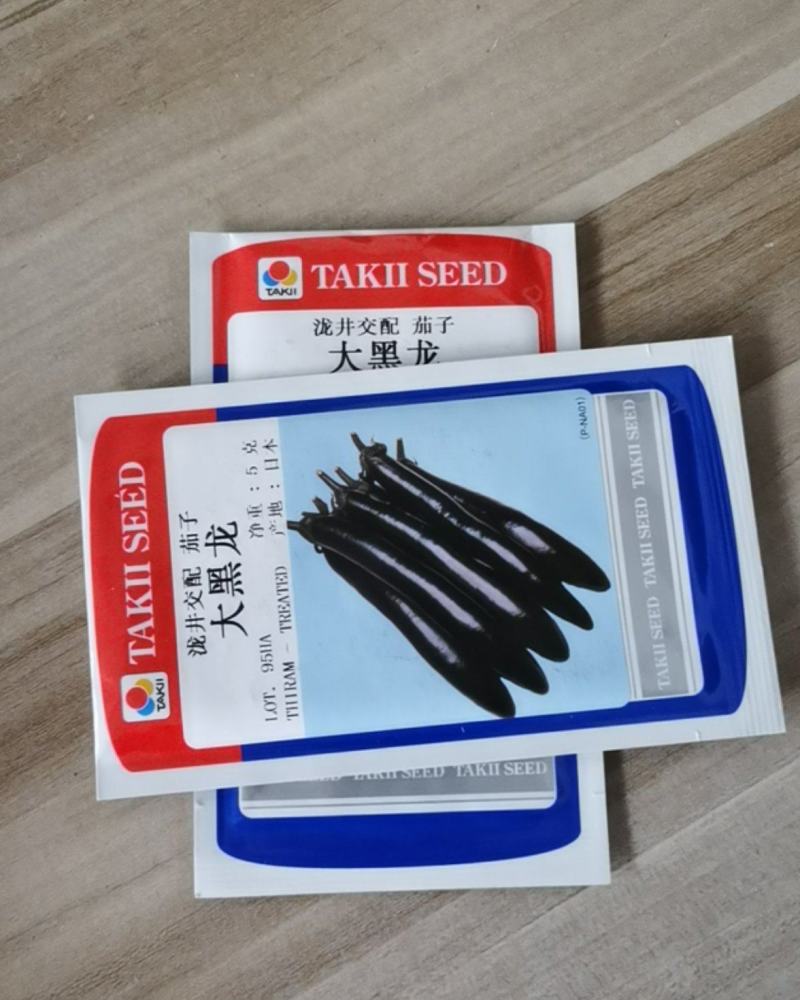 泷井交配茄子种子大黑龙茄子种子产地日本越冬早春保护地栽培