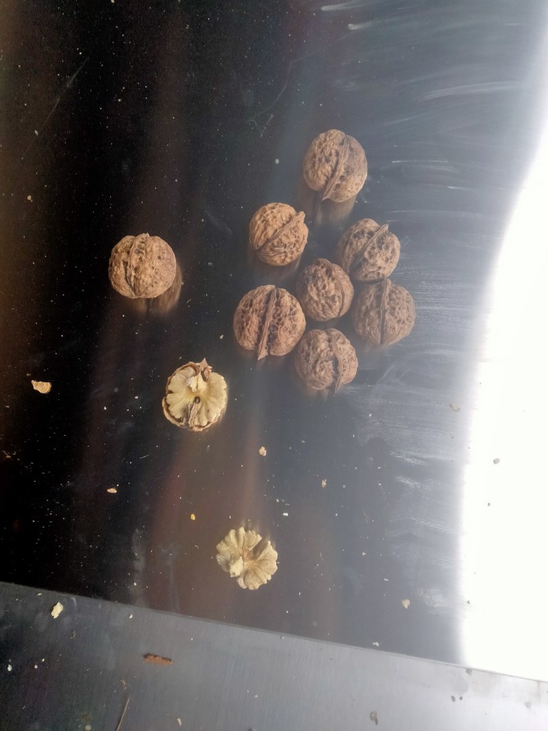 华坪县兴屹花椒种植专业合作供应云南省脆皮干核桃。