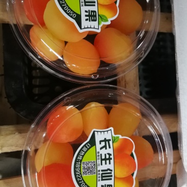红参果批发