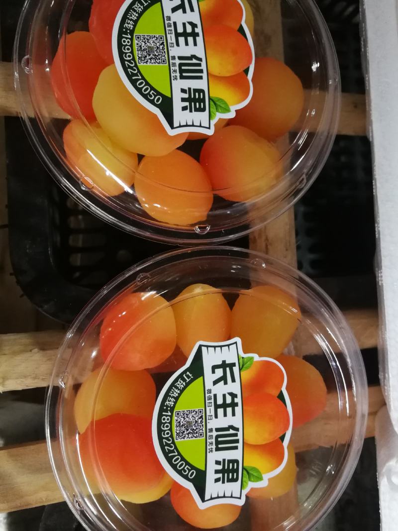红参果批发