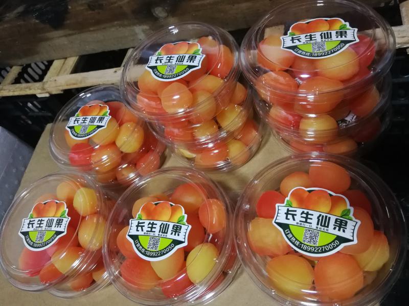 红参果批发