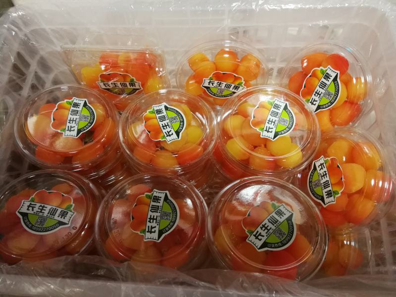 红参果批发