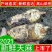 天麻新鲜天麻放野生天麻干天麻天麻片天麻粉