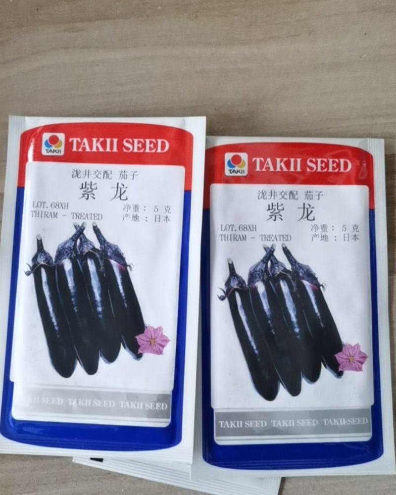 泷井交配紫龙茄子种子烧烤茄子种子越冬早春大棚春秋露地