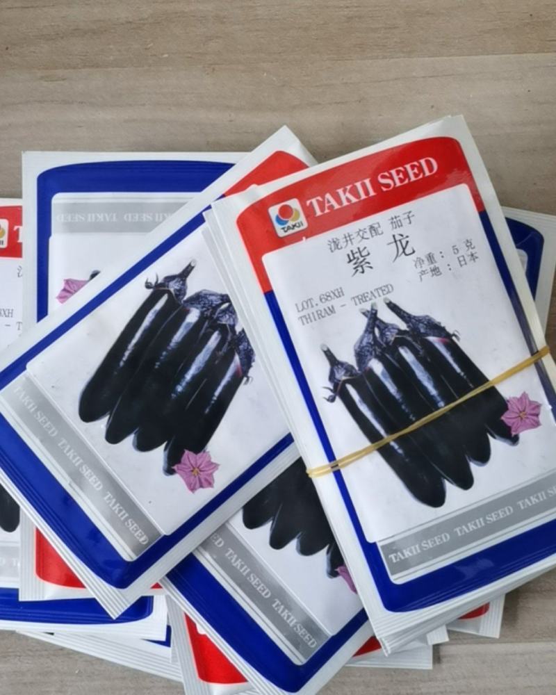 泷井交配紫龙茄子种子烧烤茄子种子越冬早春大棚春秋露地