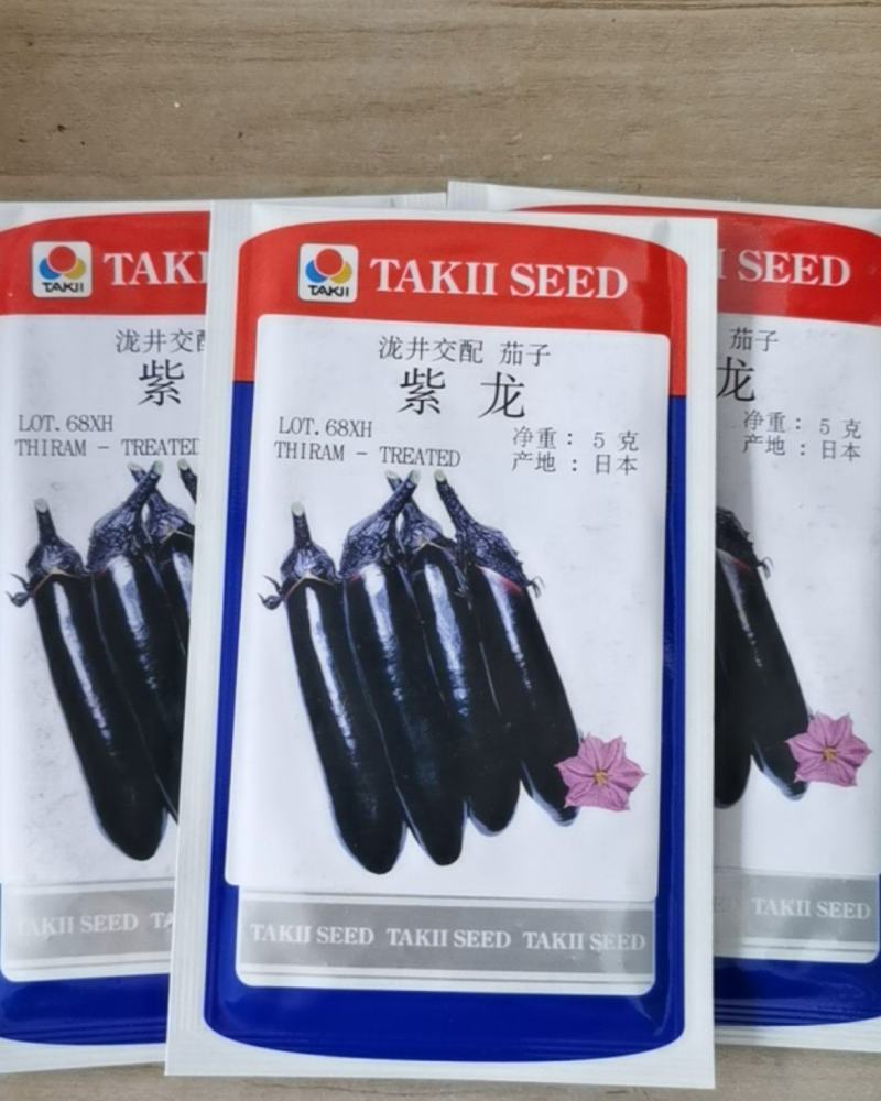 泷井交配紫龙茄子种子烧烤茄子种子越冬早春大棚春秋露地