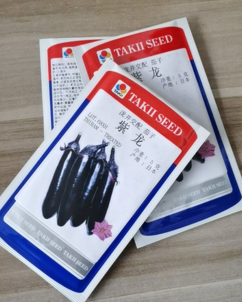 泷井交配紫龙茄子种子烧烤茄子种子越冬早春大棚春秋露地