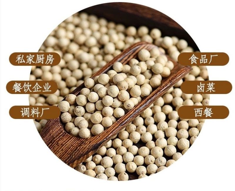 海南白胡椒颗粒干货批发零售饭店超市特级专供