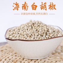 海南白胡椒颗粒干货批发零售饭店超市特级专供