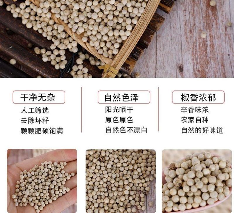海南白胡椒颗粒干货批发零售饭店超市特级专供