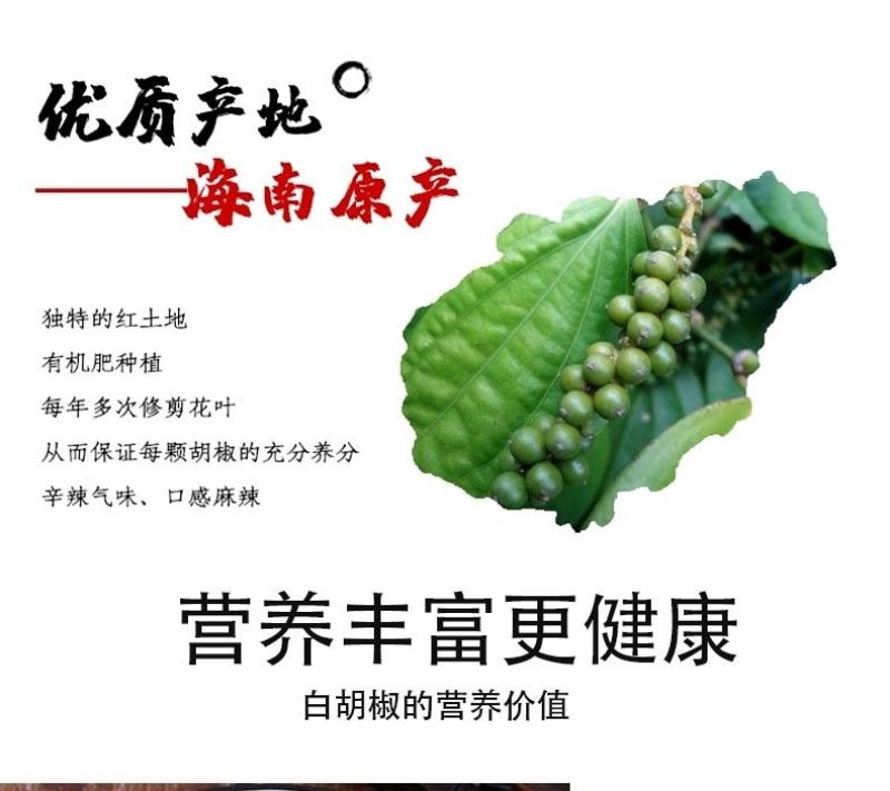 海南白胡椒颗粒干货批发零售饭店超市特级专供