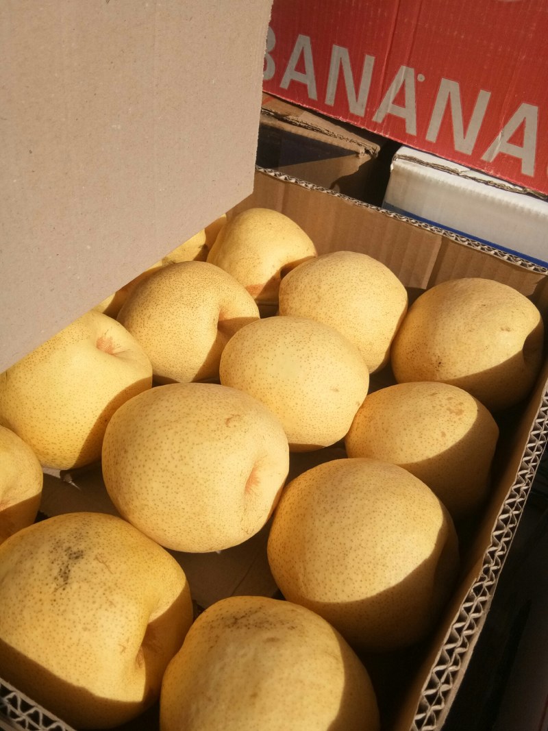 蜜稣梨