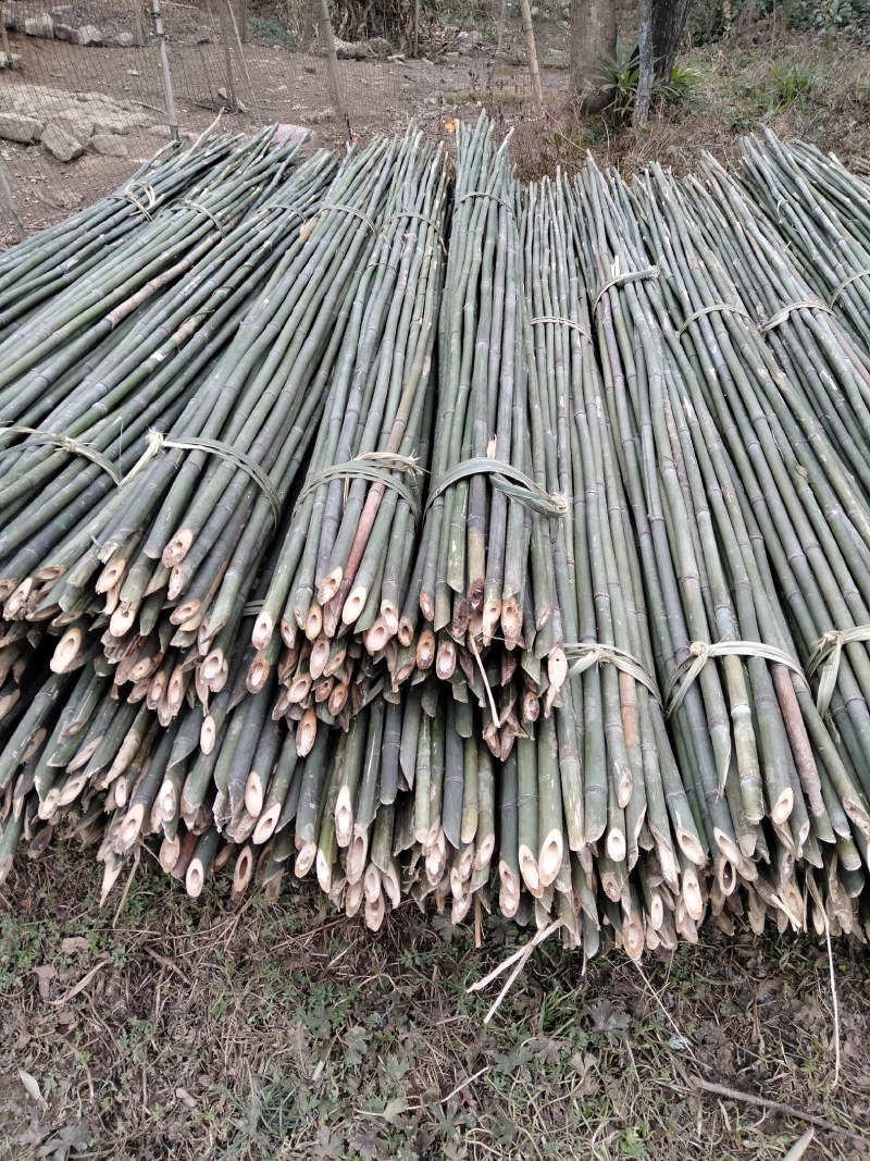 大棚竹竿(欢迎来电）菜架竹，扶树竹竿，多种规格产地直销