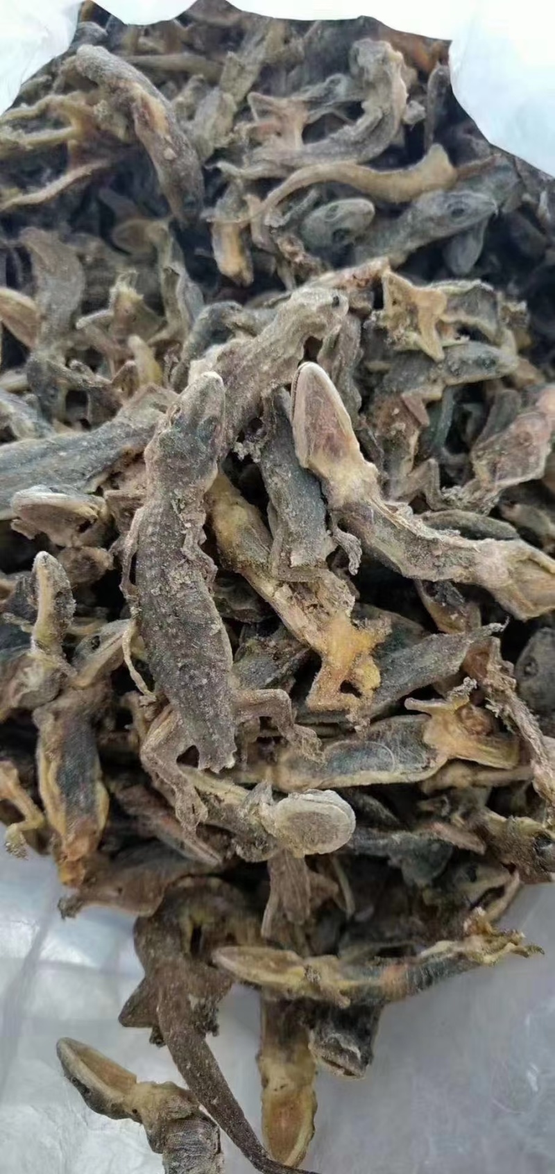 代收药材承接各种药材加工，磨粉，切片，压制，去皮，蒸，晒