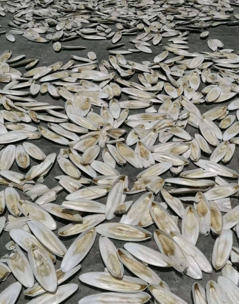 代收药材承接各种药材加工，磨粉，切片，压制，去皮，蒸，晒