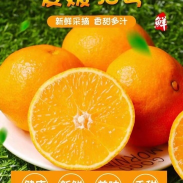 电商团购）九月红果冻橙纽荷尔橙长虹脐橙中华红对接电商供应