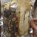 多彩菌菇包古田特产菌汤包羊肚菌煲汤干货食材菇类菌类松茸新