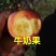 樱桃苗，樱桃树苗抗严寒大樱桃苗，树高保证质量，保证纯度